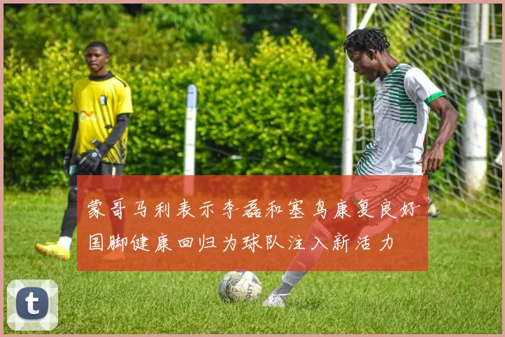 蒙哥马利表示李磊和塞鸟康复良好国脚健康回归为球队注入新活力