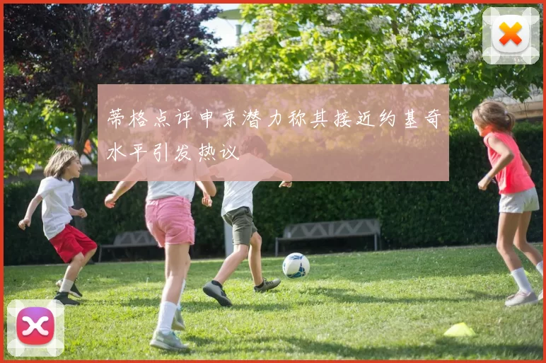 蒂格点评申京潜力称其接近约基奇水平引发热议