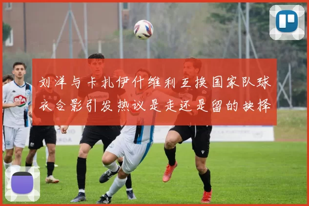 刘洋与卡扎伊什维利互换国家队球衣合影引发热议是走还是留的抉择时刻