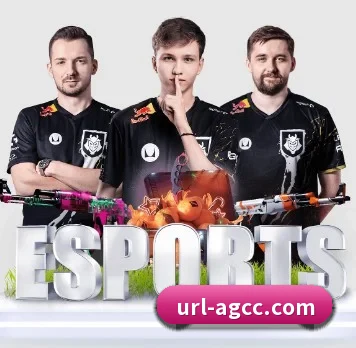 未来布局